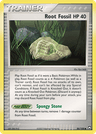 Root Fossil