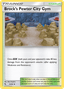Brock's Pewter City Gym