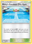 Misty's Cerulean City Gym